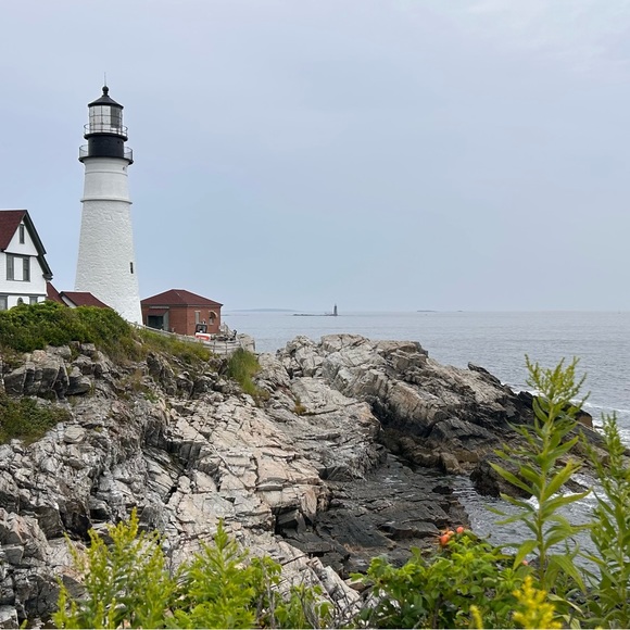 Meet your Posher, Sam - Picture 1 of 1